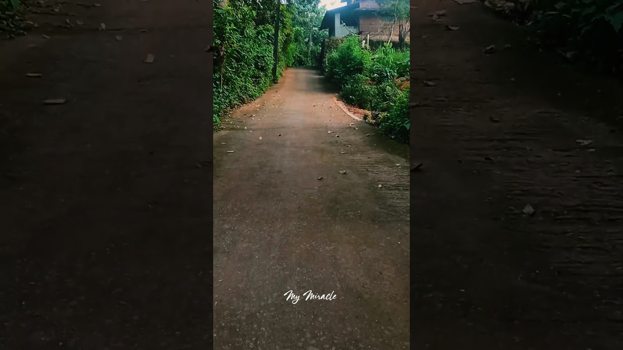 smooth slow motion and speed video edit 