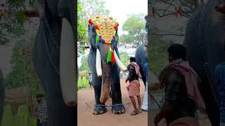 പ്രശസ്തരായവർ #viralvideo #comedy #shorts