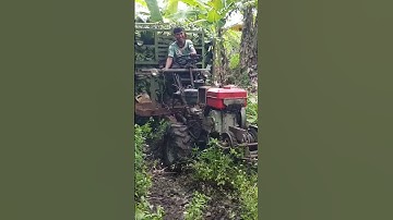 #shorts xe 2 công nông câu xuống dóc