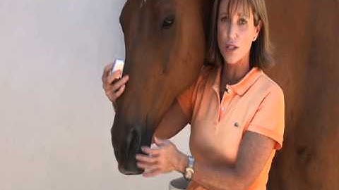 Ask Shawna Answer: Checking your Horses Mouth
