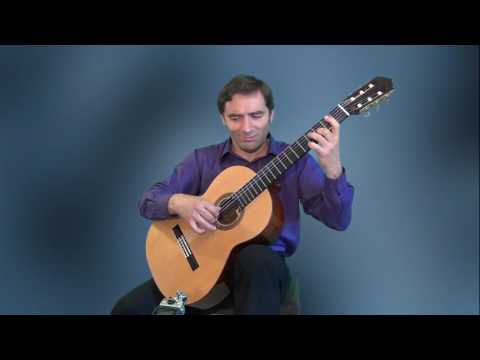 Eurovision Song Contest - Amar Pelos Dois - guitar arrangement- Viktor Vidović