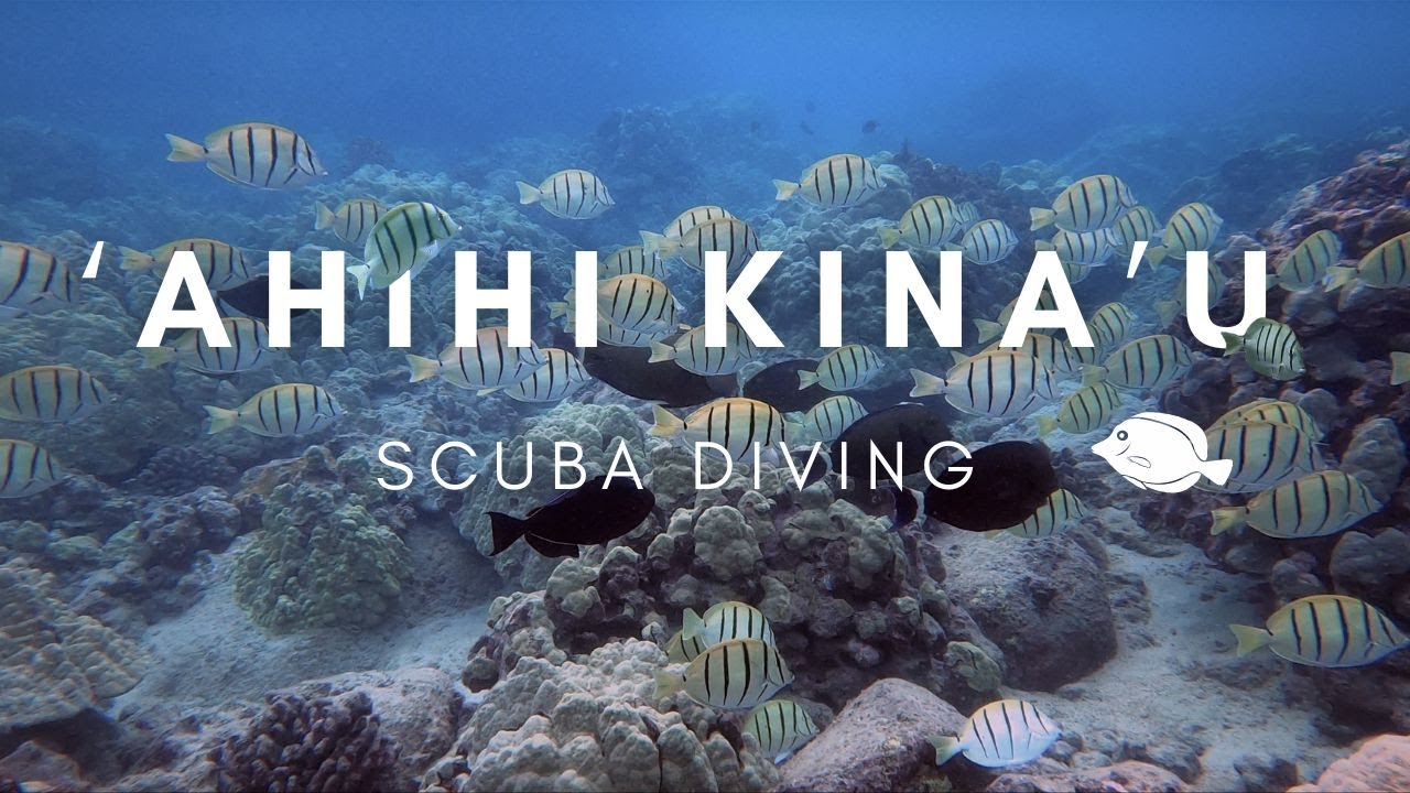 Scuba diving at 'Ahihi Kina'u marine reserve in Maui, Hawaii