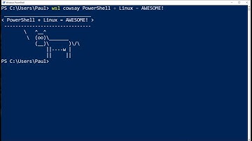 Running Linux Commands from the Windows Subsystem for Linux (WSL)