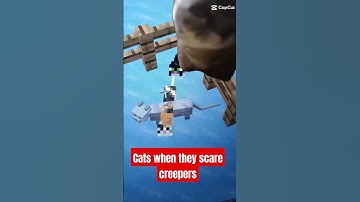 cat when they scare creepers away in #minecraft #shorts #viral #memes