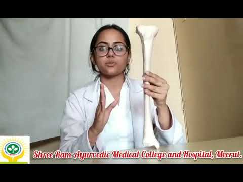 TIBIA BONE ANATOMY - YouTube