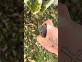 Medford On Belay Knife