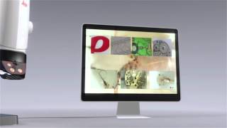 Digital Microscope System Leica DMS300 with full HDMI output