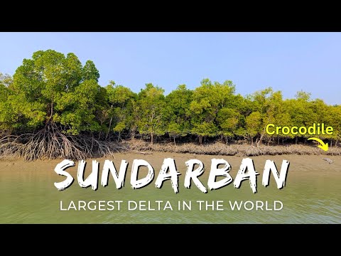 Sundarban National Park, day trip from kolkata | Sundarban boat safari | Sundarban delta