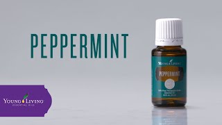 Peppermint Essential Oil: Benefits & Uses | Young Living Essential Oils