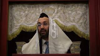 R.Avner Yunayev Halachot Shabbat    5/1/24