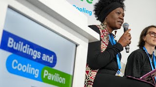 Highlights from the COP29 Buildings & Cooling Pavilion