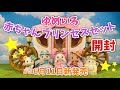 【6月11日新発売】 ゆめいろ赤ちゃんプリンセスセット開封！【シルバニアファミリー】