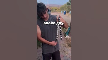 My New Ball Python! Full video out now #shorts