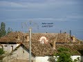 الجريصة DJERISSA الجريصة DJERISSA