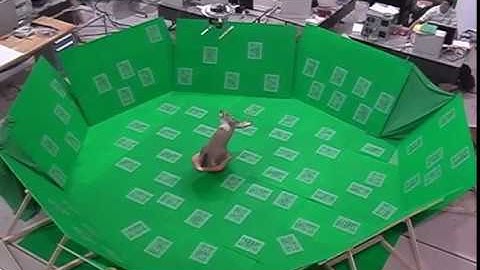 Cable-Driven Parallel Mechanism : Application to the Appearance Modelling of Objects