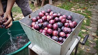 A cefre készítés rejtelmei - Áldassék a gyümölcs