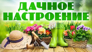 Дачное Настроение - Музыкальный Сборник Любимых Хитов!