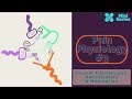 Pain Physiology 3: Central Transmission, Sensitisation and Modulation