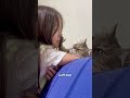 Cats! Cats! And More Cats!! | FUNNY Cat Videos!
