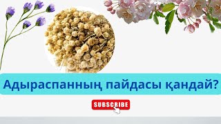 Адыраспанның пайдасы және емдік қасиеті.|пайдалы кеңестер.