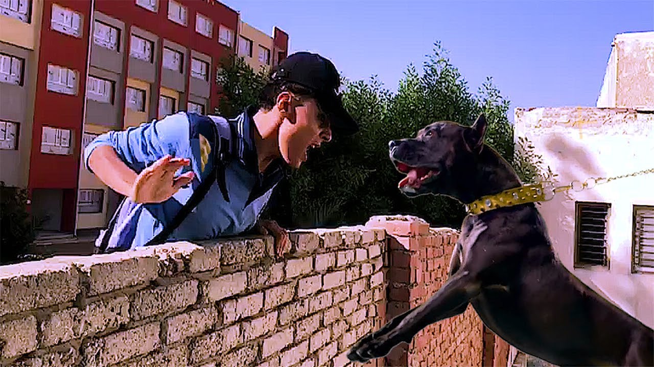 لما تسهر طول الليل وتروح المدرسة متأخر