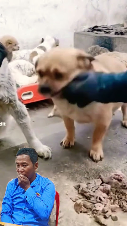 https://youtube.com/shorts/3-yCES5P2Tk?si=1CzmwhdrYd1g7BXA#shorts