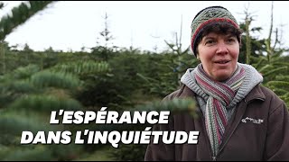 Comment cette productrice de sapins fait face à la crise sanitaire et écologique