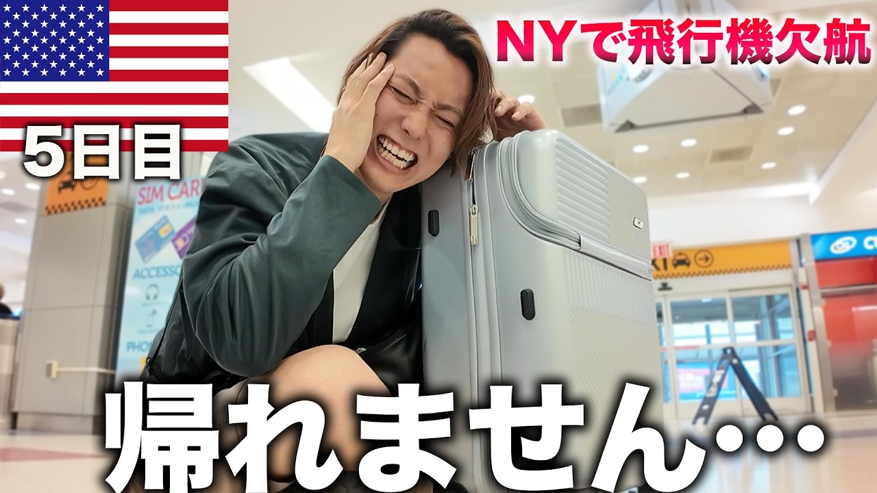 MoMA モマ ニューヨーク近代美術館の見どころ - NYC Kurashi