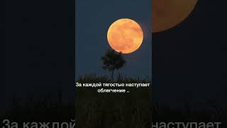 Сура 94 АШ -ШАРХ (Раскрытие)