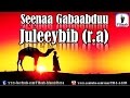 Seenaa Gabaabdu Juleeybib R A