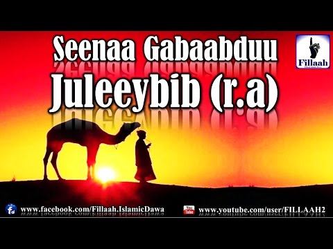 Seenaa Gabaabdu Juleeybib R A