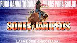 Los Mejores Sones Jaripeos con Banda Tocada- Mix de Sones 2024- Puras Para Bailar