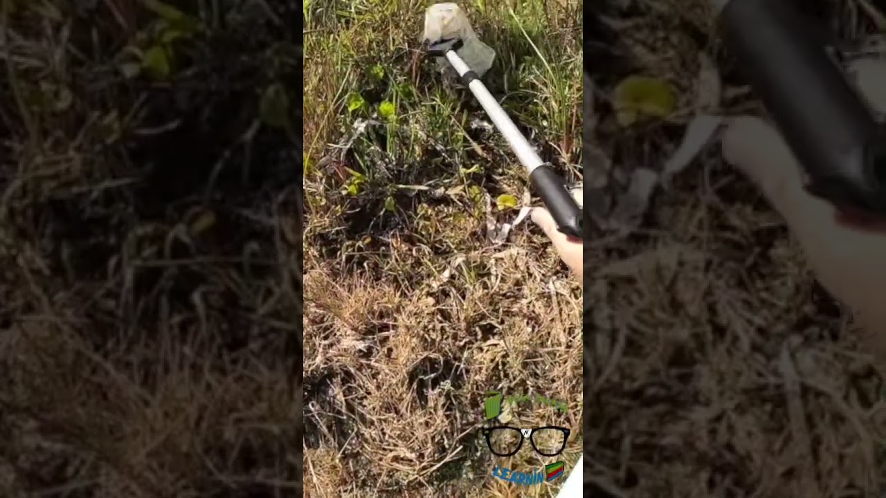 Making Progress: Ocean Clean Up 🌊 Stubborn Plastic Bag Removal 