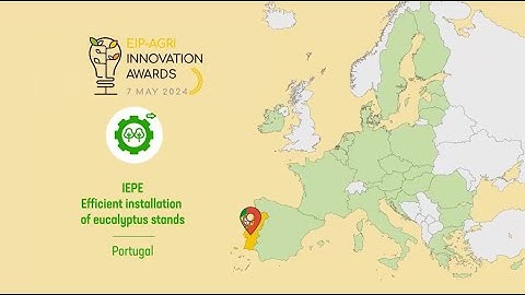 Operational Group: IEPE – Efficient installation of eucalyptus stands