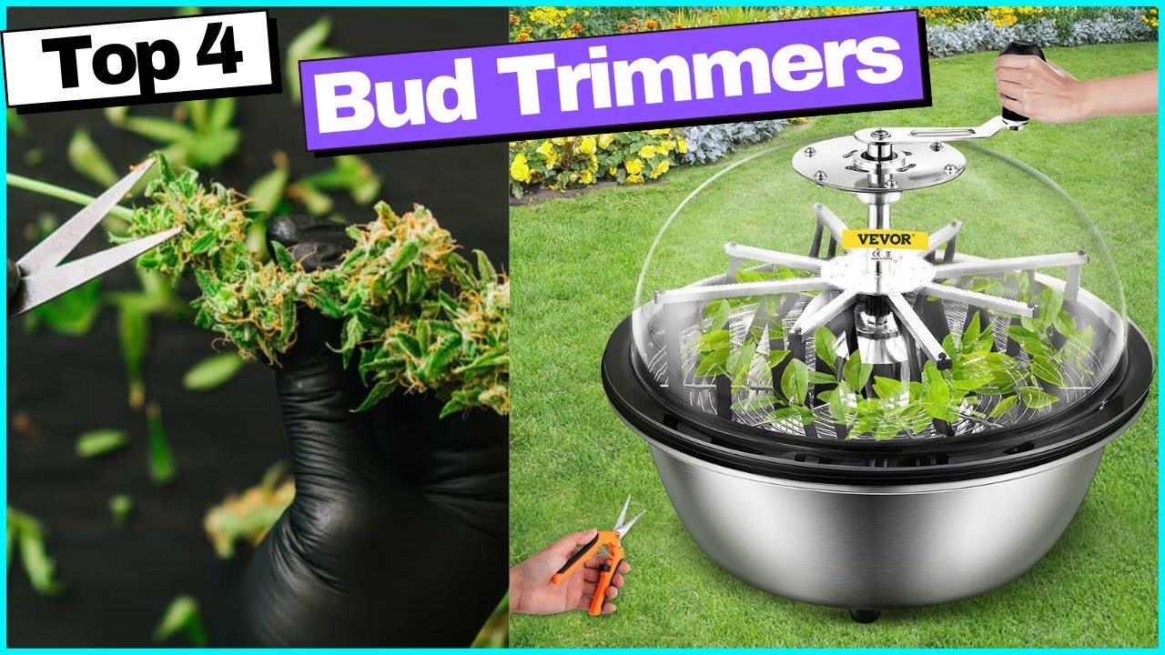 Best Bud Trimmers 2023 YouTube