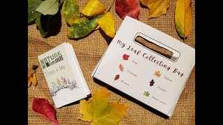 Fall Leaves - Craft Instructions by Job Carr Cabin Museum 38 views 1 year ago 4 minutes, 45 seconds