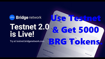 Bridge Network Airdrop || Use Testnet To Get Eligible For 5000 BRG Tokens.