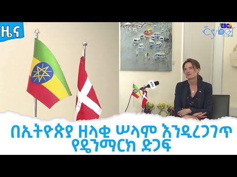 ቪዲዮ: የዴንማርክ ቦልሄድ ጎመን እንክብካቤ - የዴንማርክ ቦልሄድ ጎመን ዘሮችን መትከል