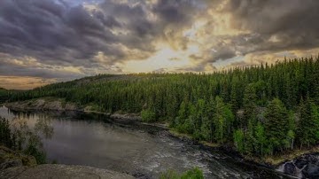 sorat al fil سورة الفيل بصوت الشيخ القارئ ياسر الدوسري