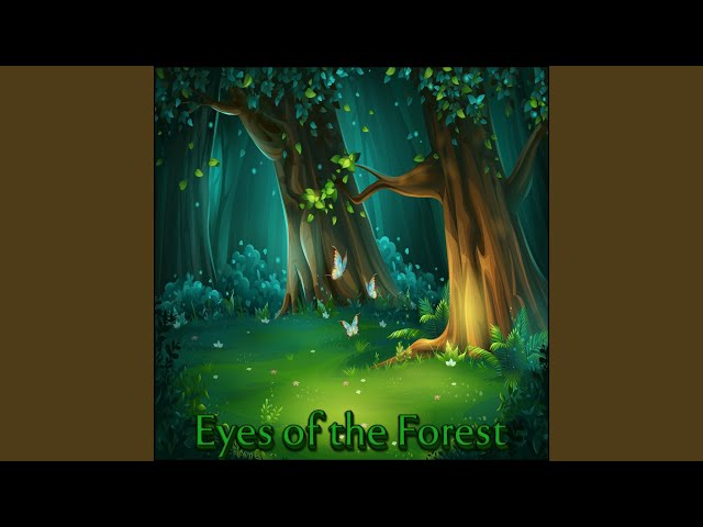 Eyes of the Forest class=