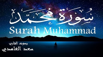 سورة محمد - سعد الغامدي Surah Muhammad - Saad Al-Ghamdi