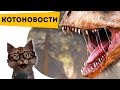 КОТОНОВОСТИ [1] Найден новый динозавр!