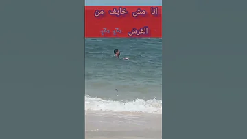 لحظة هجوم سمك القرش علي شخص في البحر 