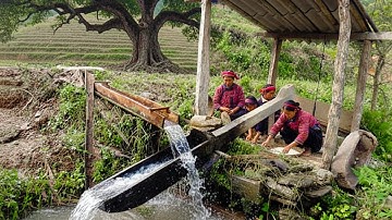 Giã Gạo Thủ Công – Nghề Truyền Thống Việt Nam | Nhịp Sống Làng Quê Tuyệt Đẹp #giagao#nghetruyenthong