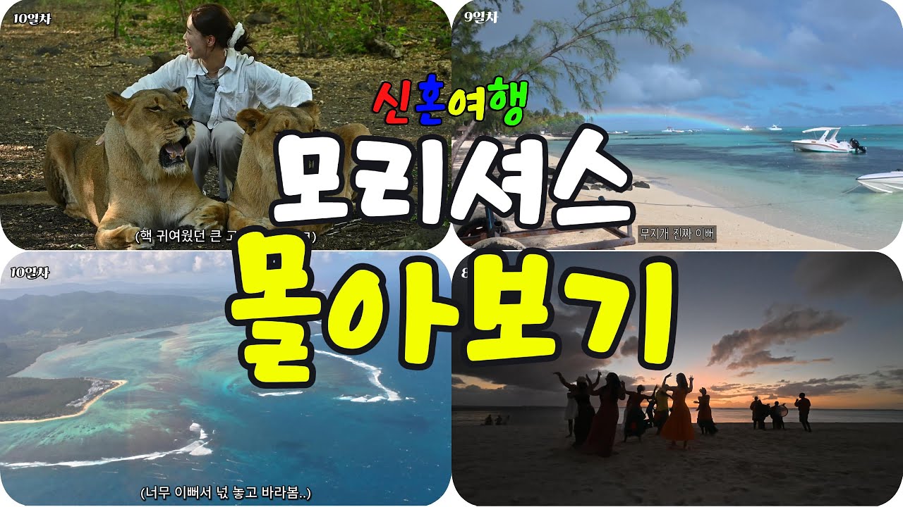 요즘 hot한 신혼여행지 🔥모리셔스🔥 [몰아보기]