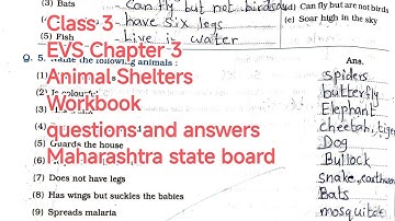 Class 3 EVS Workbook Q&A 📘 | Chapter 3: Animal Shelters | All Answers Inside!"