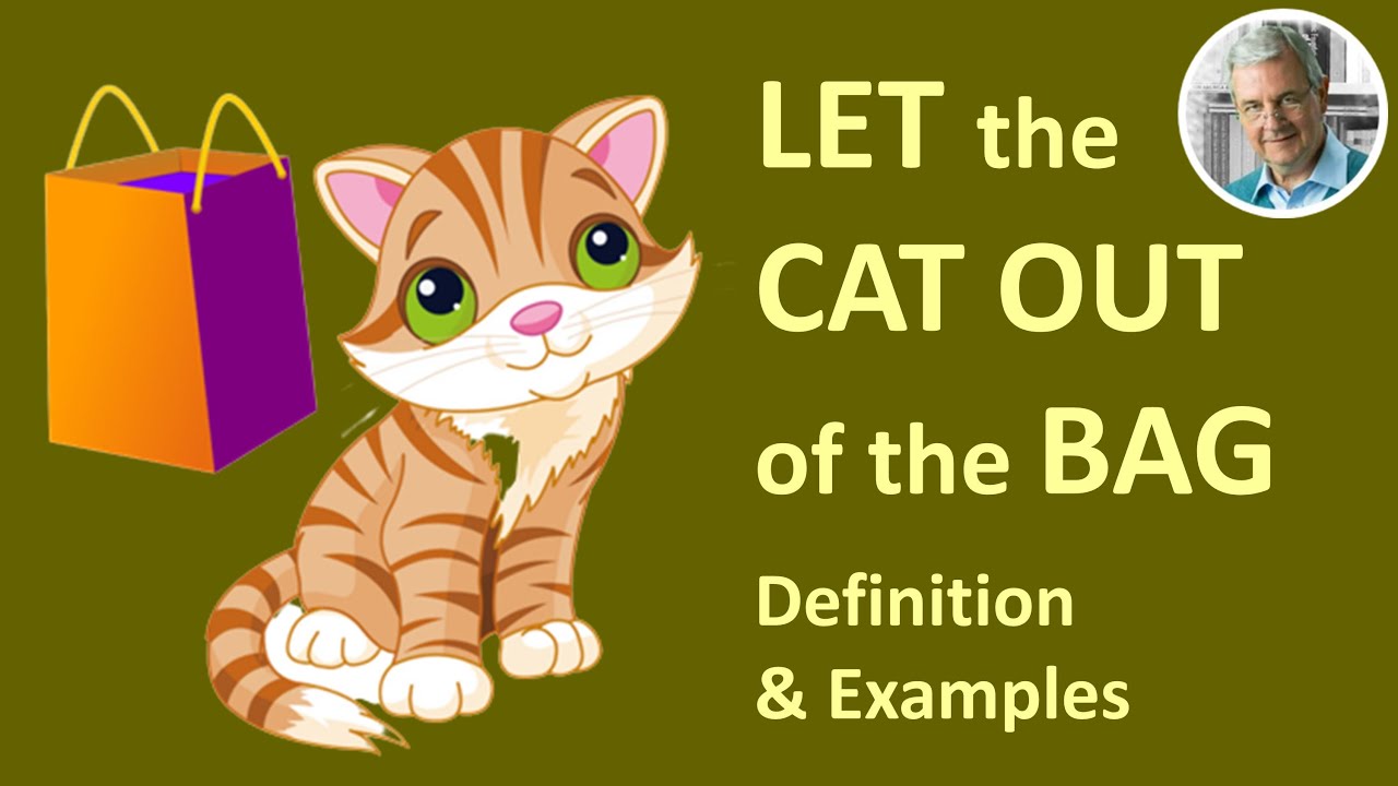 LET the CAT OUT of the BAG Examples (3 Illustrations) - YouTube