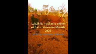 Download Lagu Lukubhija madilanha 2025 MP3 Download Lagu Lukubhija madilanha 2025 MP3