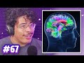 The Science of Synesthesia | Sci Guys Podcast #67