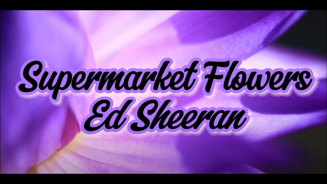 Ed Sheeran Supermarket Flower (Lyrics) YouTube